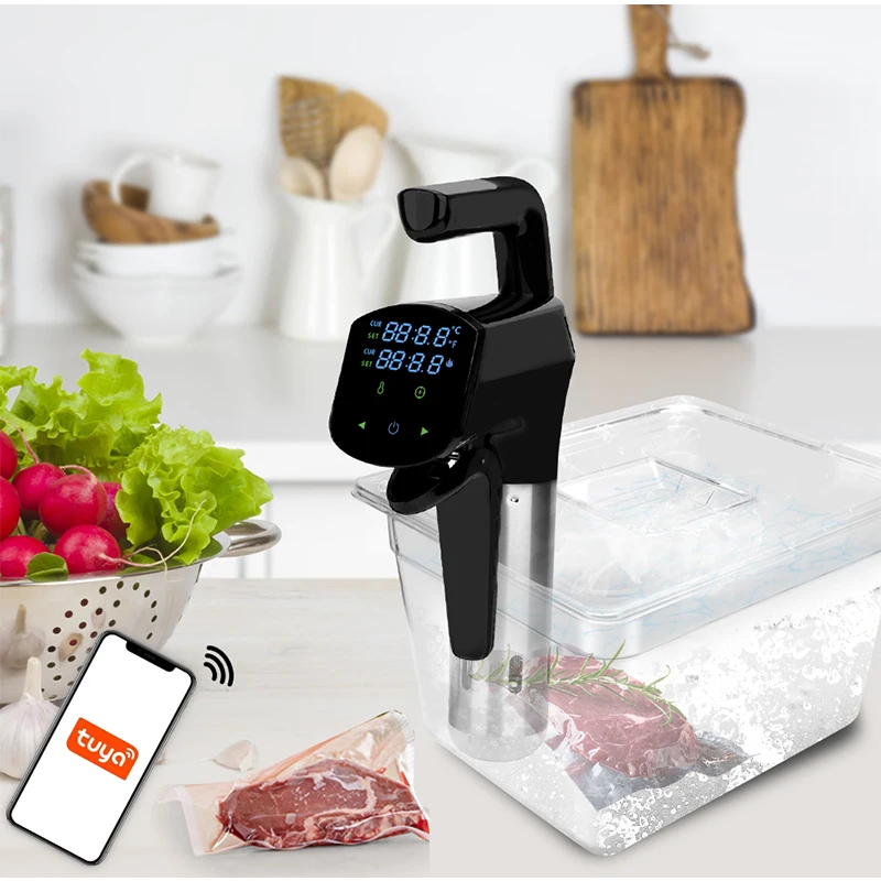 110V/220V Commercial Sous Vide - Home Cooking Machine ulasan dan harga