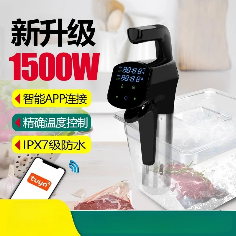 110V/220V Commercial Sous Vide - Home Cooking Machine ulasan dan harga