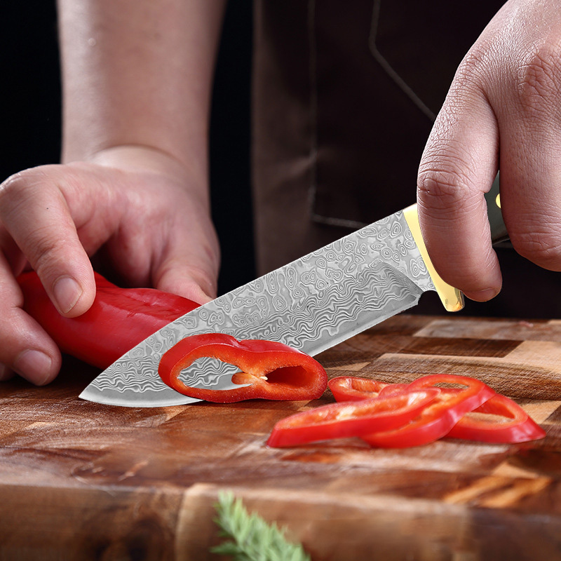 Premium VG10 Damascus Kitchen  - Home Cooking Japanese Food ulasan dan harga
